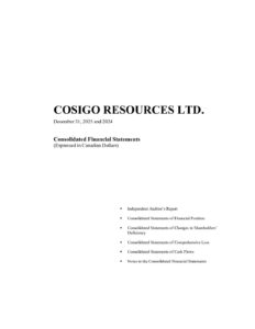 Financial Statements - December 31 2025